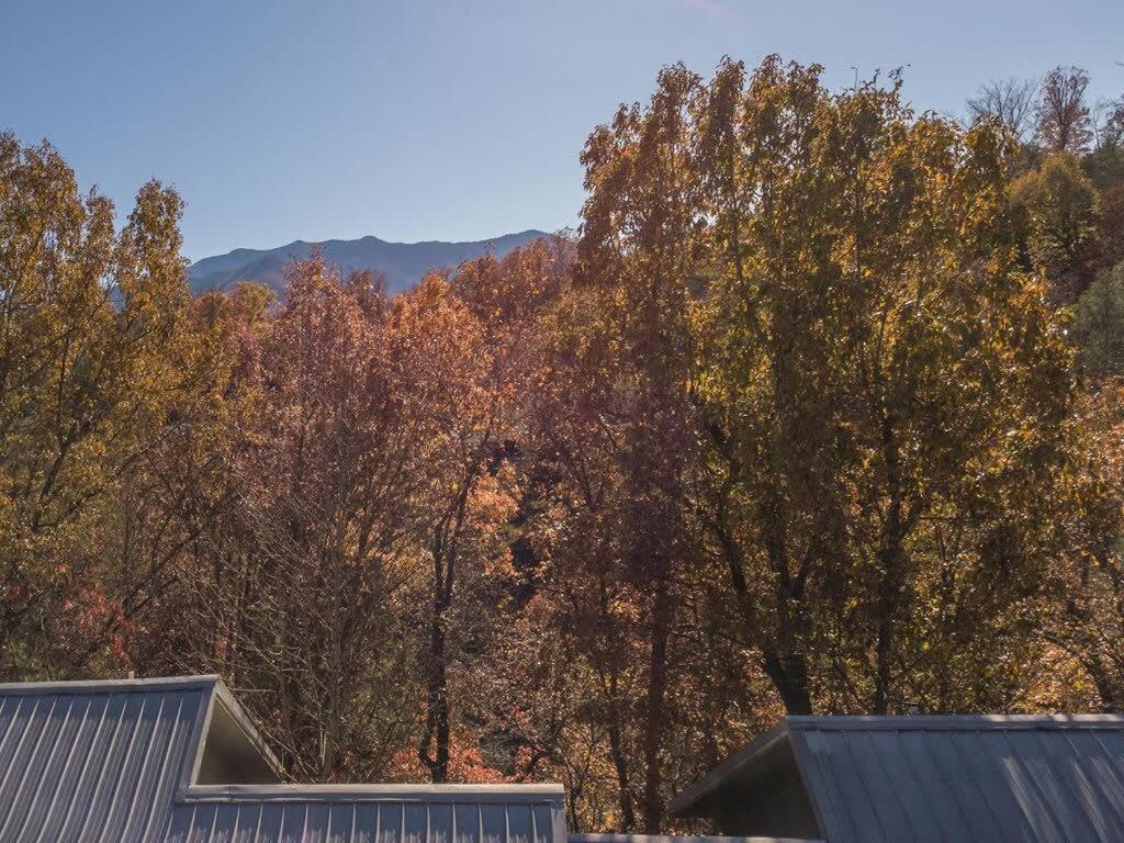 Sasquatch Lodge E Sleeps 13 Gatlinburg Eksteriør bilde